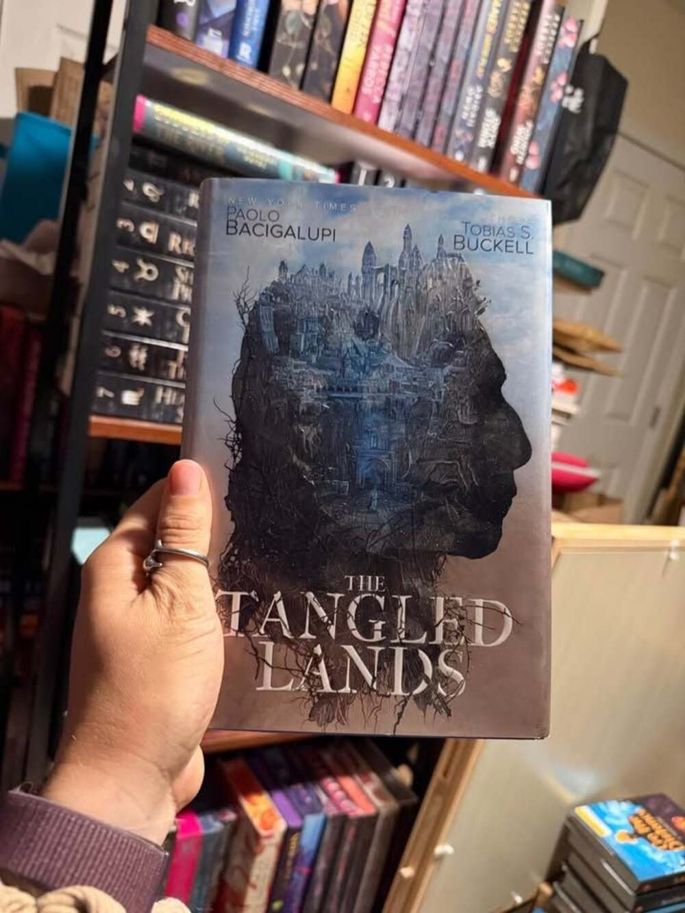 The Tangled Lands by Paolo Bacigalupi and Tobias S. Buckell book